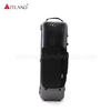 Black Stripe Carbon Fiber Composite Oblong Violin Case (SVC005P) Wholesale