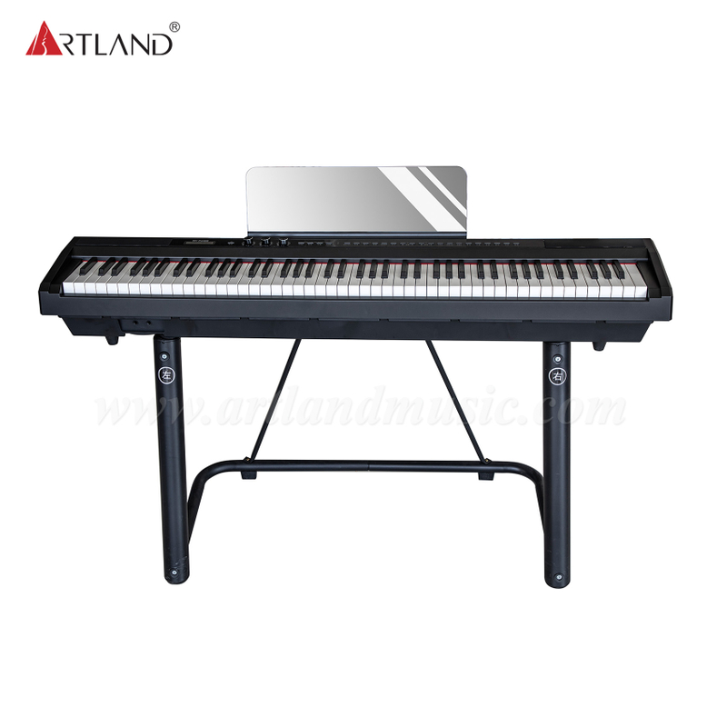 88 Keyboard French Dream5704 Digital Piano(DGP190) 