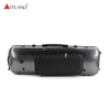 Black Stripe Carbon Fiber Composite Oblong Violin Case (SVC005P) Wholesale
