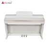 3 Pedals 88 - Key Hammer Action Keyboard Digital Piano(DGP-901)