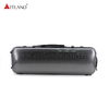 Black Stripe Carbon Fiber Composite Oblong Violin Case (SVC005P) Wholesale