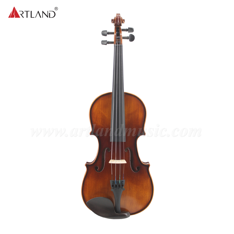 Ebony Fitting Solid Student Violin Outfit (GV104A)