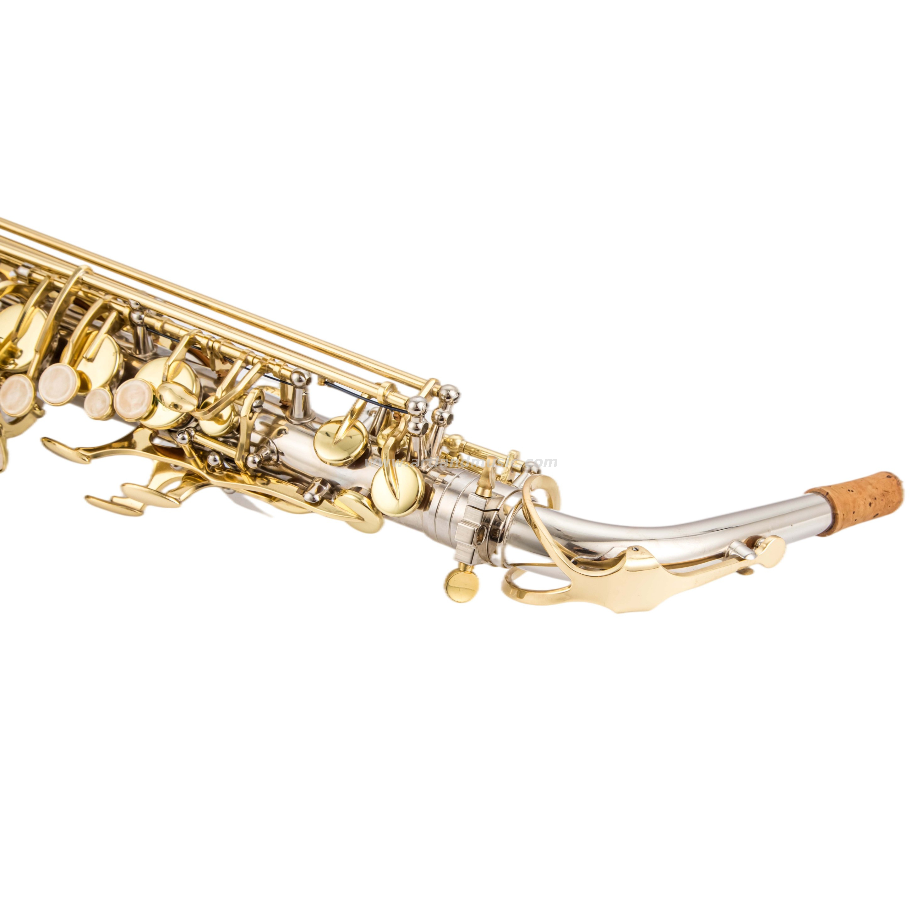 Nickel Finished Alto Saxophone With Gold Key( AAS5505NL)