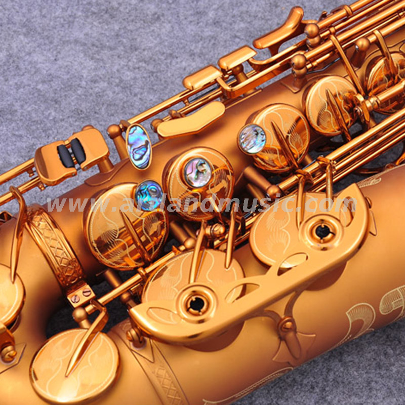 Gold Eb Alto Saxophone (AAS6505)