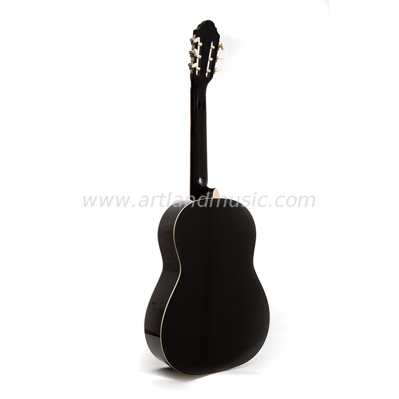 Wholesale Price High Quality Guitar Set (CG860R) 