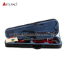Solid Body Electric Violin With Case,Earphone,Bow (EV002-5S)
