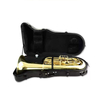 Tuba Gold Lacquer Key of bB with Case Brass Tuning Slide（ATTB300）