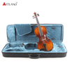 Ebony Fitting Solid Student Violin Outfit (GV104A)