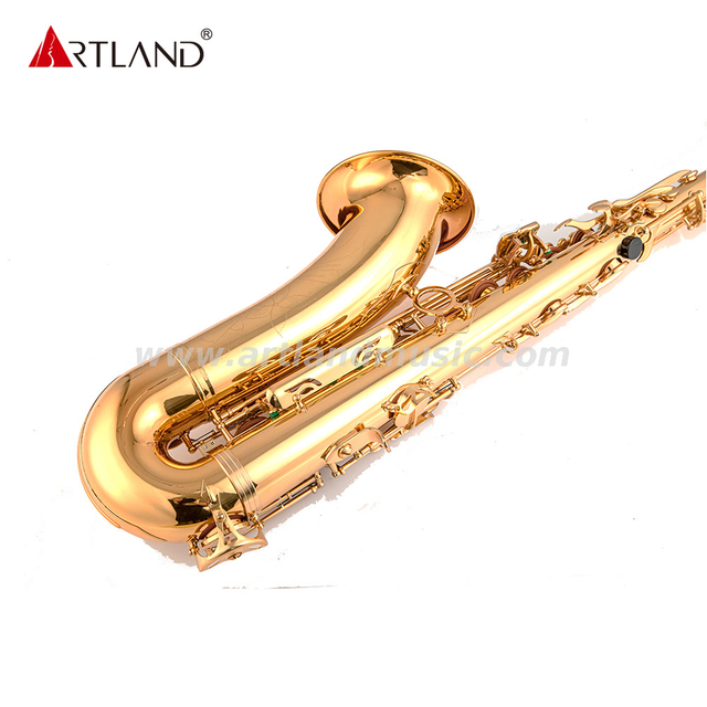 Glod Lacquer Student Tenor Saxophone(ATS3505G)