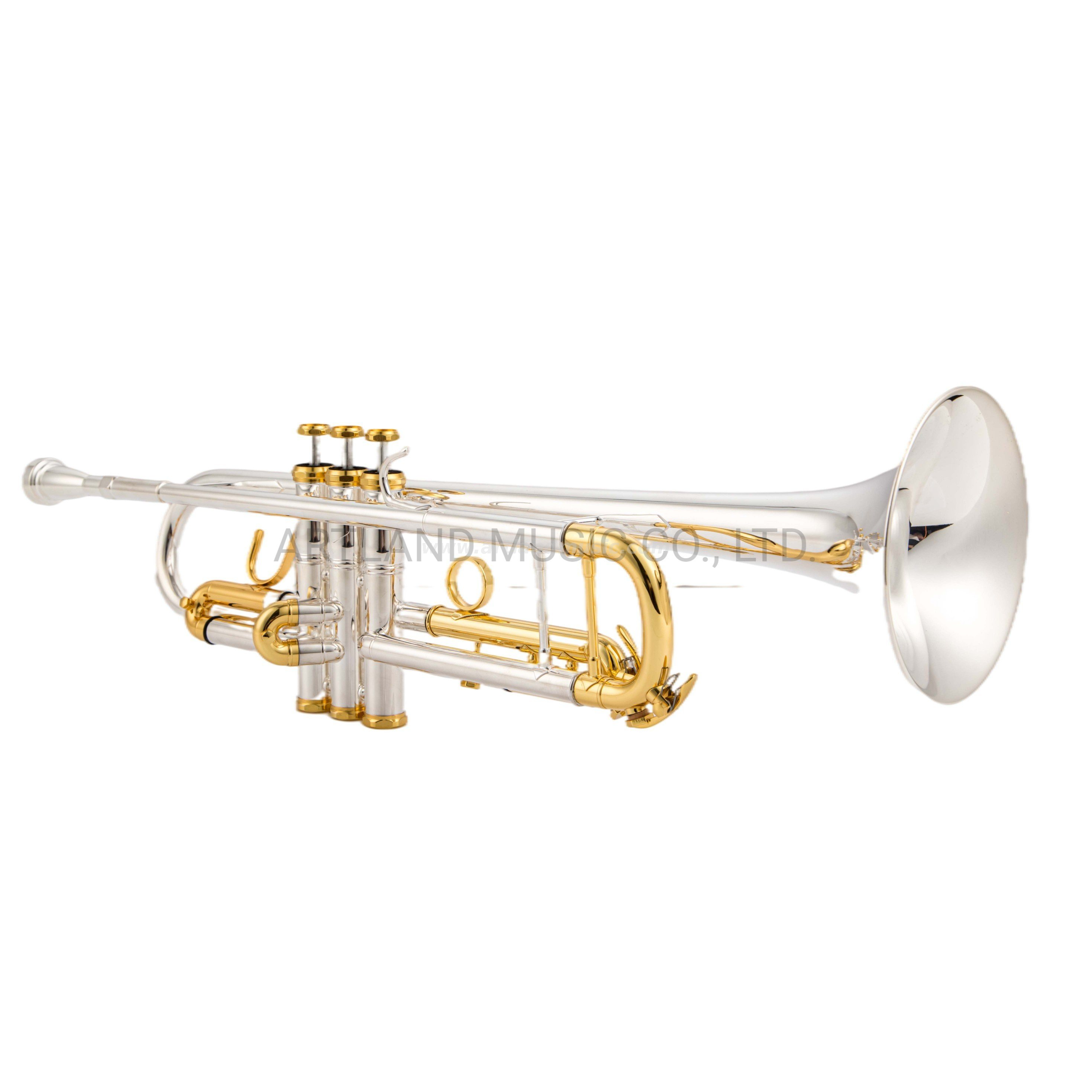 Bach Style Trumpet Silver with Gold Cap, One 3c And 5c Mouthpiece (ATR0275N)