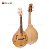 Solid Spruce Top Mandolin (AM-A90N)