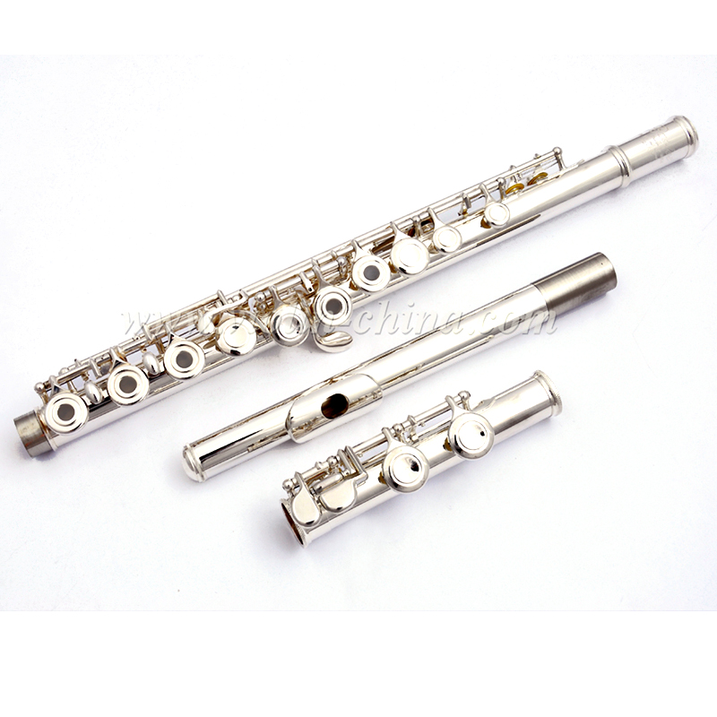 16 Open Holes Silver Plated Standard Flute (AFL5507)