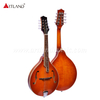 Solid Spruce Top Mandolin (AM-A90)