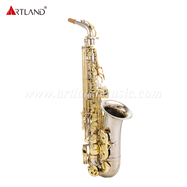 Nickel Finished Alto Saxophone With Gold Key( AAS5505NL)