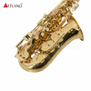 Gold Lacquer Eb Alto Saxophone (AAS6503)