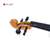 Solid Body Electric Violin With Case,Earphone,Bow (EV002)