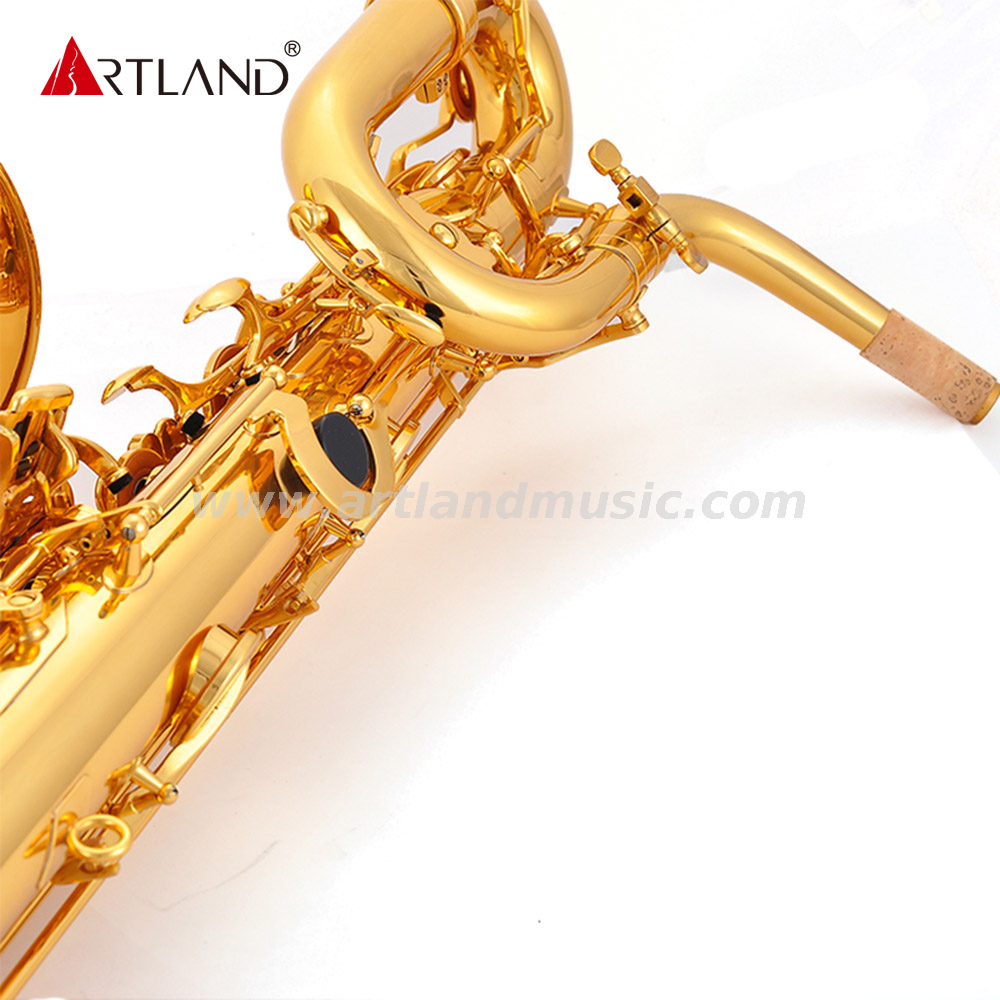 Eb Key Golden Lacquer Finish Professional Baritone Saxophone (ABS5506)
