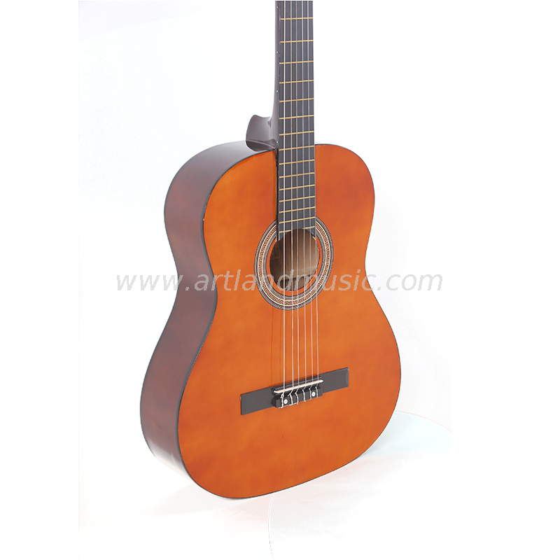 Linden Top Back&Side Classic Guitar (CG851)