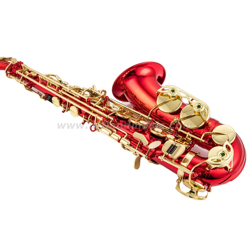 Eb Alto Saxophone Gold Lacquer Key RED Body (AAS5505CR)