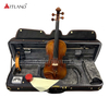 Guarneri Violin Solo Violin High Grade Antique Model Violin (PV60E)