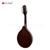 Plywood Spruce Top Mandolin (AM-A10)