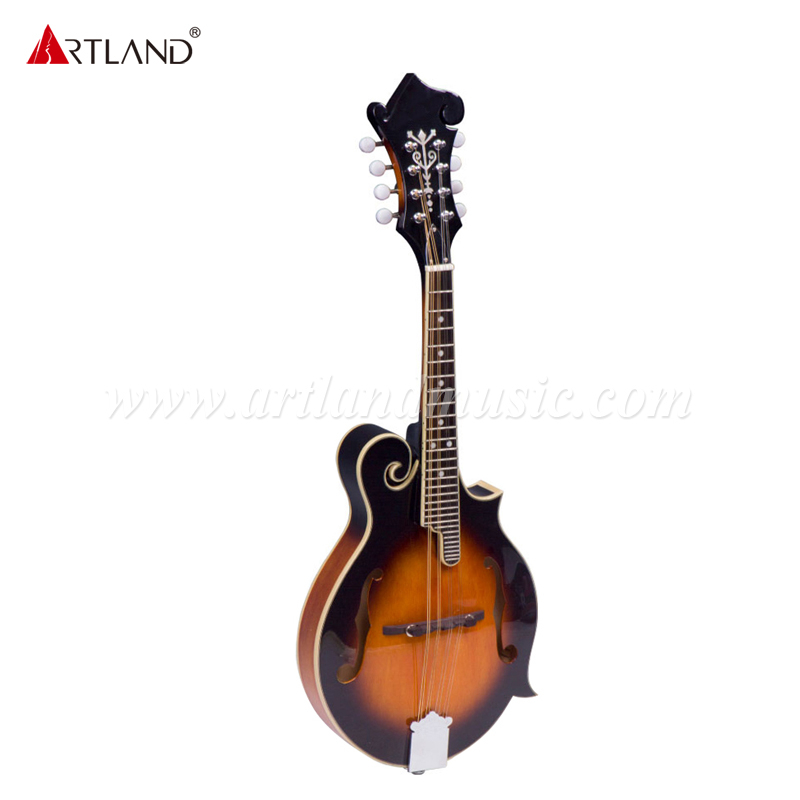 Plywood Spruce Top Mandolin (AM-F10)