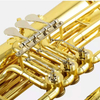 Tuba Gold Lacquer Key of bB with Case Brass Tuning Slide（ATTB300）
