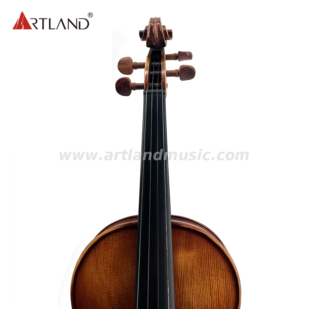 Moderate Violin With Antique And Varnish And Rosweood Fitting (MV140Q)