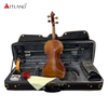 Guarneri Violin Solo Violin High Grade Antique Model Violin (PV60E)