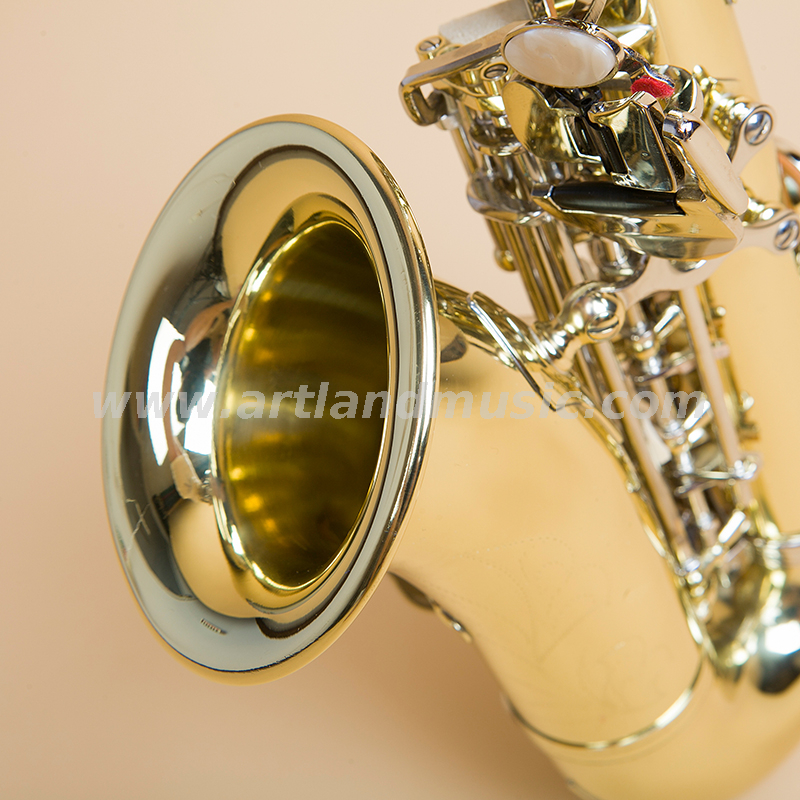 Gold Lacquer Soprano Saxophone With Nickel Key (ASS3506GN)