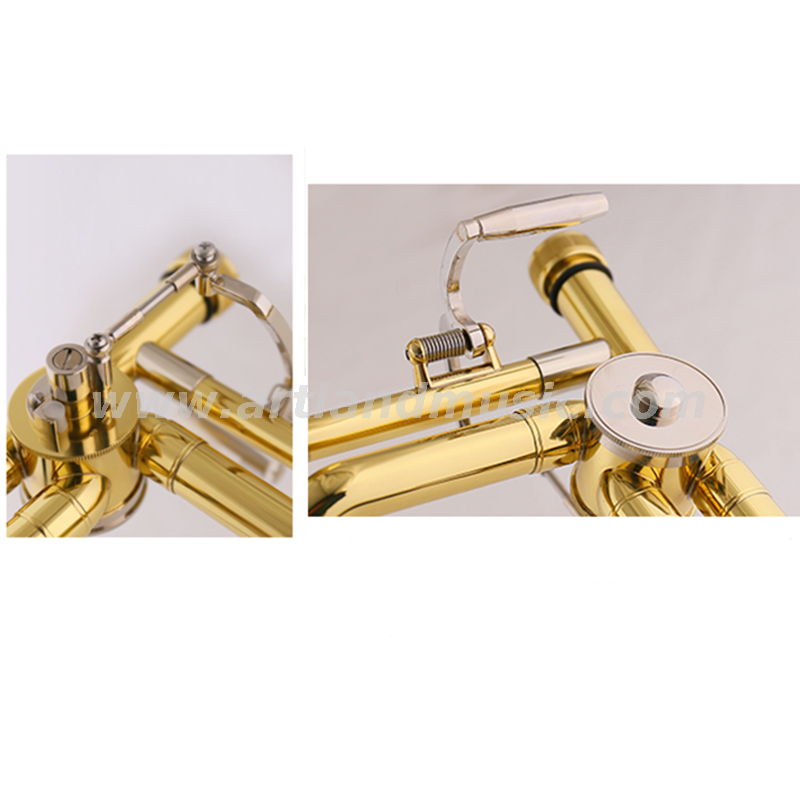 Gold LacquerTenor Bb/F Key Trombone(AT800)