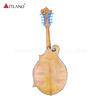 Engman spruce Mandolin (AM-F90)