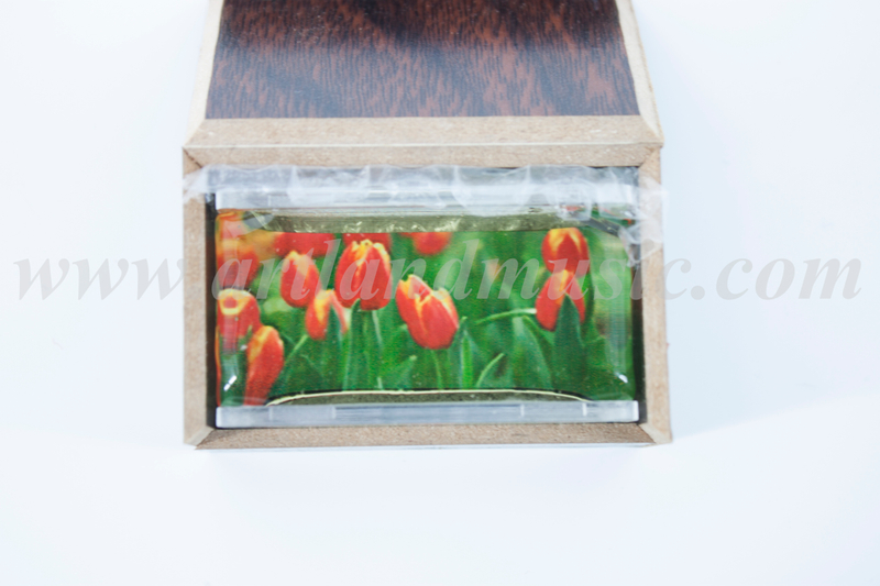 Bowed String Instrument Violin Rosin (R200)