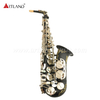 Eb Alto Saxophone Black Matt With Nickel Key (AAS6508)