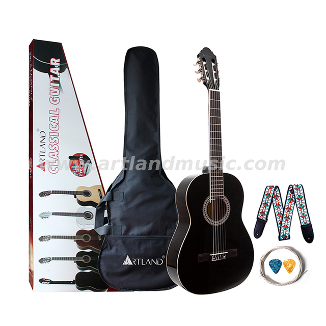 Wholesale Price High Quality Guitar Set (CG860B) 