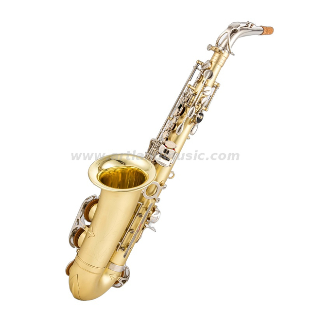 Eb Alto Saxophone Matt Gold Lacquer Hand Engraved Body with Nickel Key(AAS5505GN)