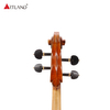 Hand Made European Wood Cello PCE60